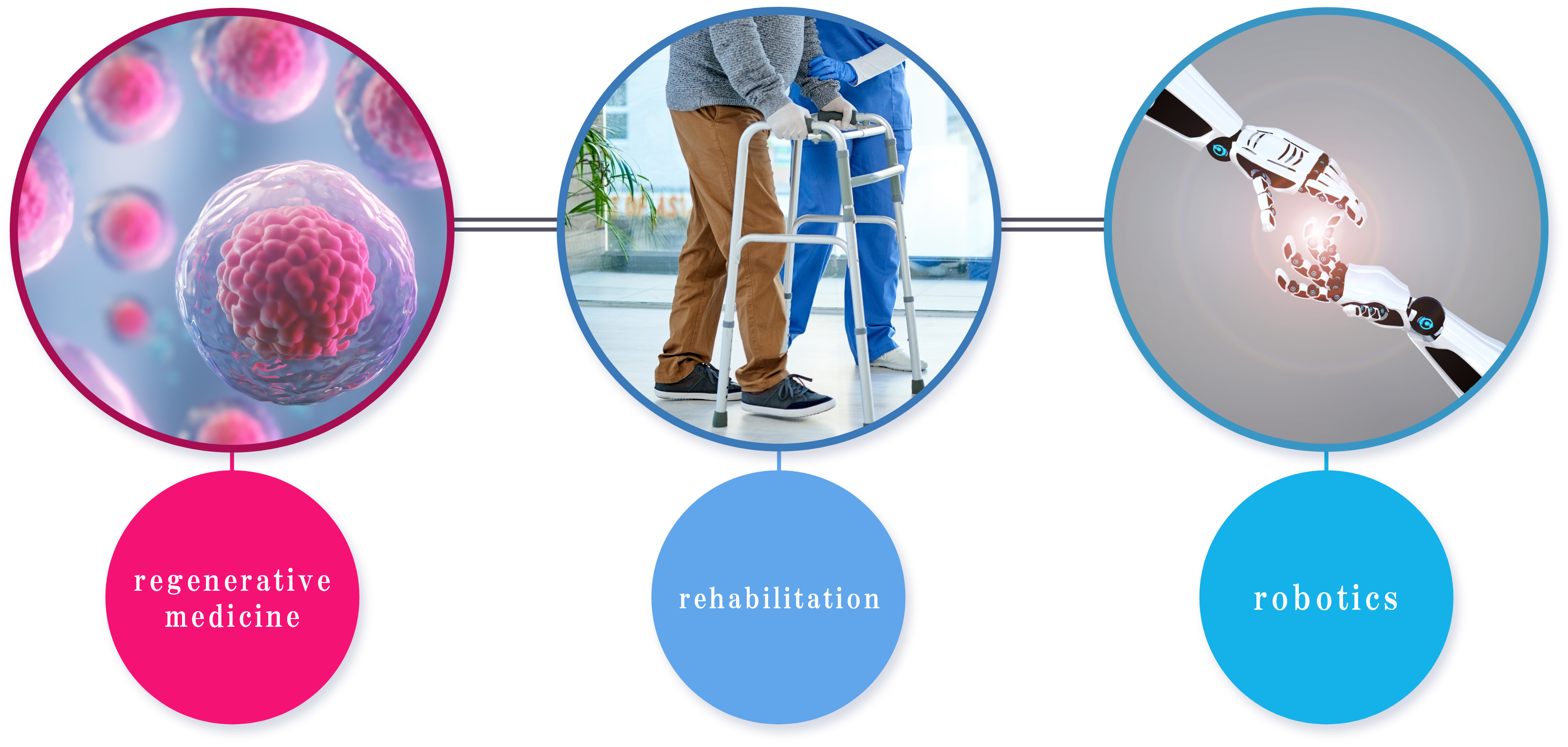 regenerative medicine,rehabilitation,robotics